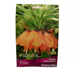 Рябчик императорский Гарланд Стар ПОИСК