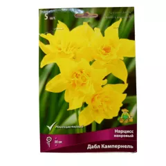 Нарцисс махровый Дабл Кампернель 5 шт ПОИСК