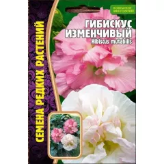 Гибискус Изменчивый 10 шт РЕДКИЕ СЕМЕНА