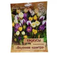 Крокус ботанические Весенняя палитра 50 шт ПОИСК