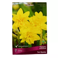 Нарцисс махровый Тет Букль 5 шт ПОИСК
