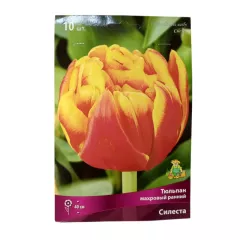 Тюльпан махровый ранний Силеста 10 шт ПОИСК