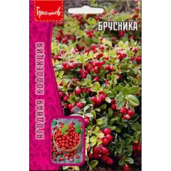Брусника 0,05 г РЕДКИЕ СЕМЕНА