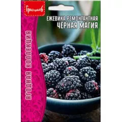 Ежевика Черная Магия 0,05 г РЕДКИЕ СЕМЕНА