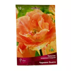 Тюльпан махровый поздний Чарминг Бьюти 10 шт ПОИСК