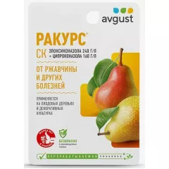 Ракурс, СК 10 мл Август