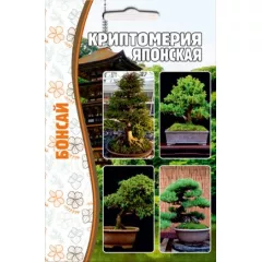 Криптомерия Японская 5 шт РЕДКИЕ СЕМЕНА