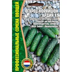 Огурец Ардия F1  корнишон 7 шт РЕДКИЕ СЕМЕНА