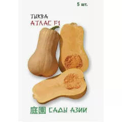 Тыква Атлас F1 5 шт Сады Азии