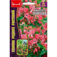 Жимолость татарская 15 шт РЕДКИЕ СЕМЕНА