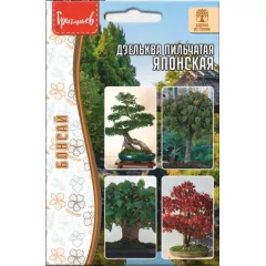 Дзельква японская Пильчатая 10 шт РЕДКИЕ СЕМЕНА