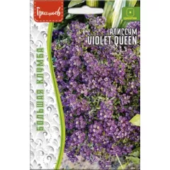 Алиссум VIOLET QUEEN 0,1 г РЕДКИЕ СЕМЕНА