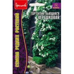 Гортензия Черешковая вьющаяся 20 шт РЕДКИЕ СЕМЕНА