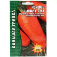 Морковь Шантане 2461 5000 шт РЕДКИЕ СЕМЕНА
