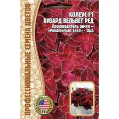 Колеус Визард Вельвет Ред F1 5 шт РЕДКИЕ СЕМЕНА