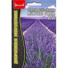 Лаванда Узколистная MUNSTEAD STRAIN 30 шт РЕДКИЕ СЕМЕНА