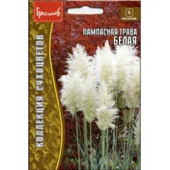 Пампасная трава Белая 0,01 г РЕДКИЕ СЕМЕНА
