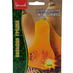 Тыква мускатная Жемчужина 20 шт РЕДКИЕ СЕМЕНА