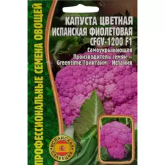 Капуста цветная Испанская фиолетовая CFGV-1200 10 шт РЕДКИЕ СЕМЕНА