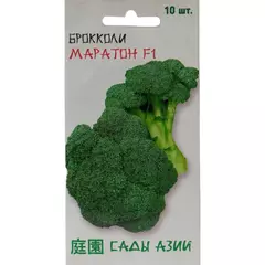 Брокколи Маратон F1 10 шт Сады Азии