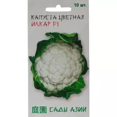 Капуста цветная Илкар F1 10 шт Сады Азии