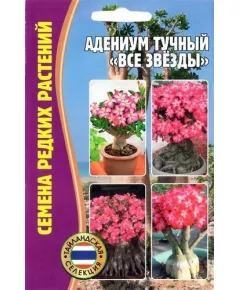 Адениум тучный Все звезды 3 шт РЕДКИЕ СЕМЕНА