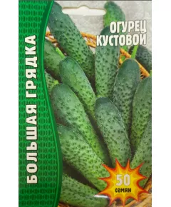 Огурец Кустовой 30 шт РЕДКИЕ СЕМЕНА