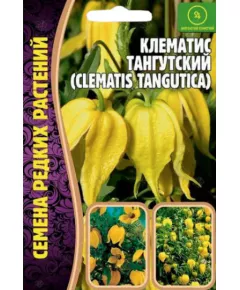 Клематис Тангутский 10 шт РЕДКИЕ СЕМЕНА