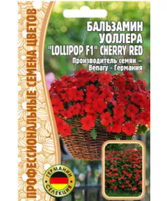 Бальзамин Уоллера LOLLIPOP CHERRY RED F1 5 шт РЕДКИЕ СЕМЕНА