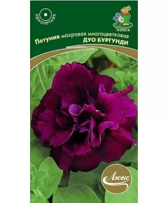 Петуния махровая многоцветковая Дуо Бургунди 10 шт ПОИСК