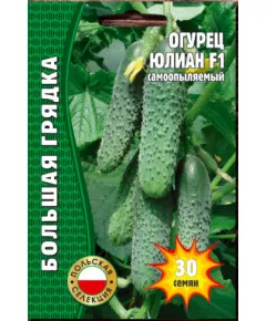 Огурец Юлиан F1 самоопыляемый Польша 30 шт РЕДКИЕ СЕМЕНА