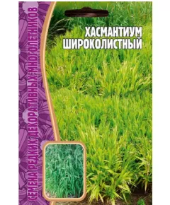 Хасмантиум Широколистный 25 шт РЕДКИЕ СЕМЕНА