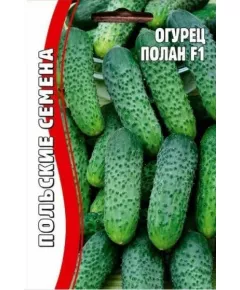Огурец Полан 10 шт РЕДКИЕ СЕМЕНА