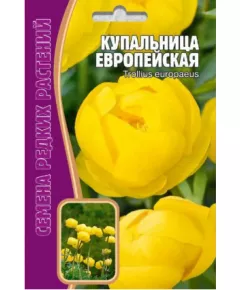 Купальница Европейская 20 шт РЕДКИЕ СЕМЕНА