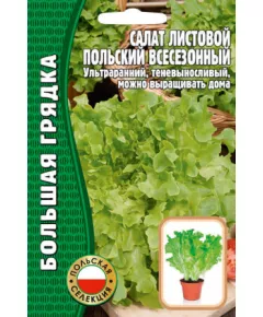 Салат листовой Польский Всесезонный 1000 шт РЕДКИЕ СЕМЕНА