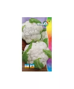 Капуста цветная Пионер LOBELIA II 1 г