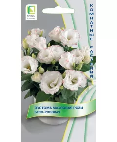 Эустома махровая Рози Бело-розовая 5 шт ПОИСК