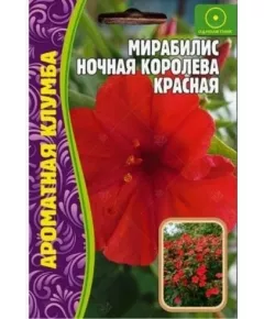 Мирабилис Ночная Королева красная 14 шт РЕДКИЕ СЕМЕНА