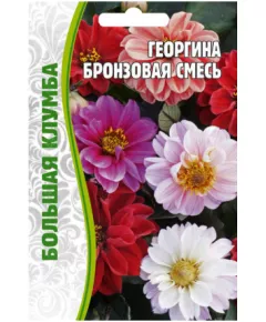 Георгина Бронзовая смесь 20 шт РЕДКИЕ СЕМЕНА