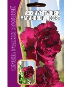Адениум Малиновый десерт 3 шт РЕДКИЕ СЕМЕНА