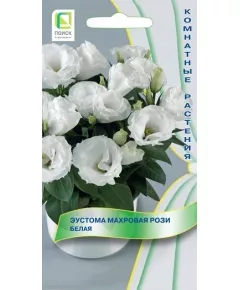 Эустома махровая Рози Белая 5 шт ПОИСК