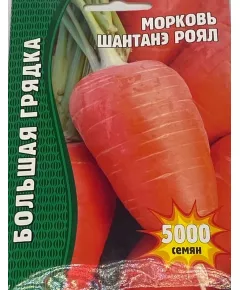 Морковь Шантане Роял 5000 шт РЕДКИЕ СЕМЕНА