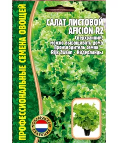 Салат  листовой Афишион 30 шт РЕДКИЕ СЕМЕНА