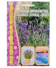 Лаванда Широколистная SPICA 30 шт РЕДКИЕ СЕМЕНА
