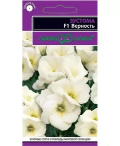 Эустома низкорослая  горшечная Верность F1 белая 5 шт ГАВРИШ