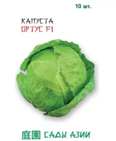 Капуста б/к Ортус F1 10 шт Сады Азии