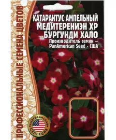 Катарантус ампельный Медитерениэн ХР Бургунди Хало 5 шт РЕДКИЕ СЕМЕНА