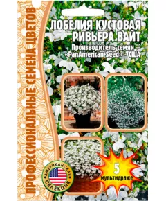 Лобелия Ривьера Вайт кустовая  F1 5 шт РЕДКИЕ СЕМЕНА