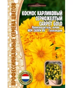 Космос Карпет Голд карликовый серножелтый 5 шт РЕДКИЕ СЕМЕНА