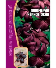 Плюмерия Черное Окно 3 шт РЕДКИЕ СЕМЕНА